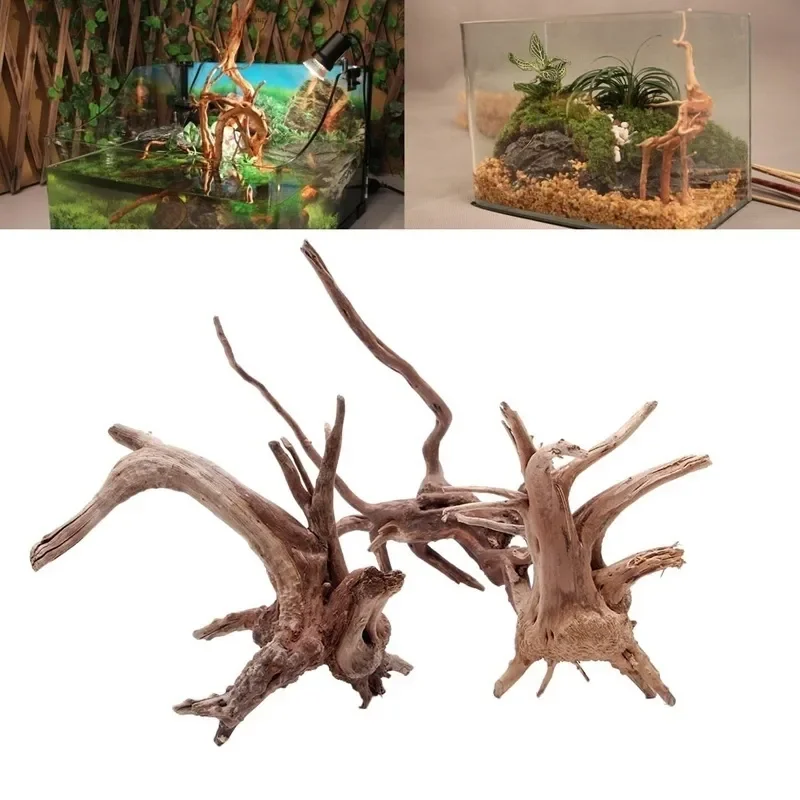 Marine Aquarium Hobby - Natural Tree Tronco Driftwood para aquário,