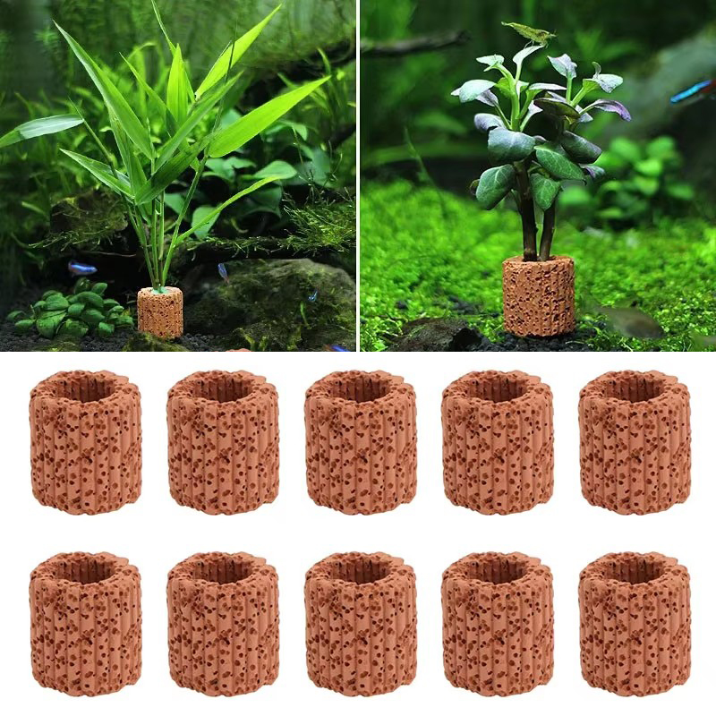 Marine Aquarium All In One - Anel fixo de planta aquática para