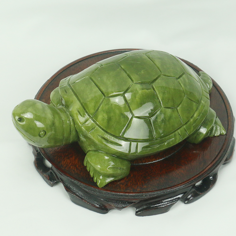 Jade natural/escultura de tart - Marine Aquarium All In One avaliação e preço