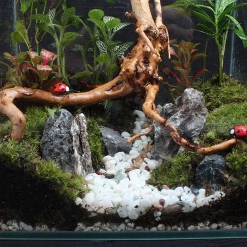 Natural Tree Tronco Driftwood  - Marine Aquarium Hobby avaliação e preço