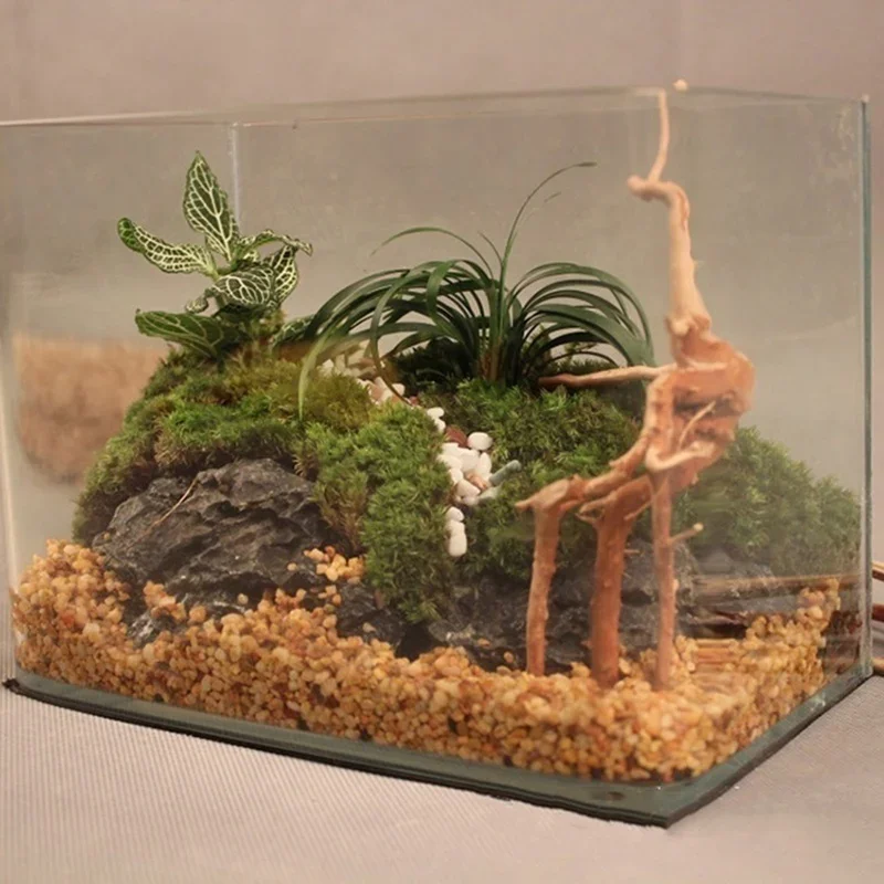 Natural Tree Tronco Driftwood  - Marine Aquarium Hobby avaliação e preço