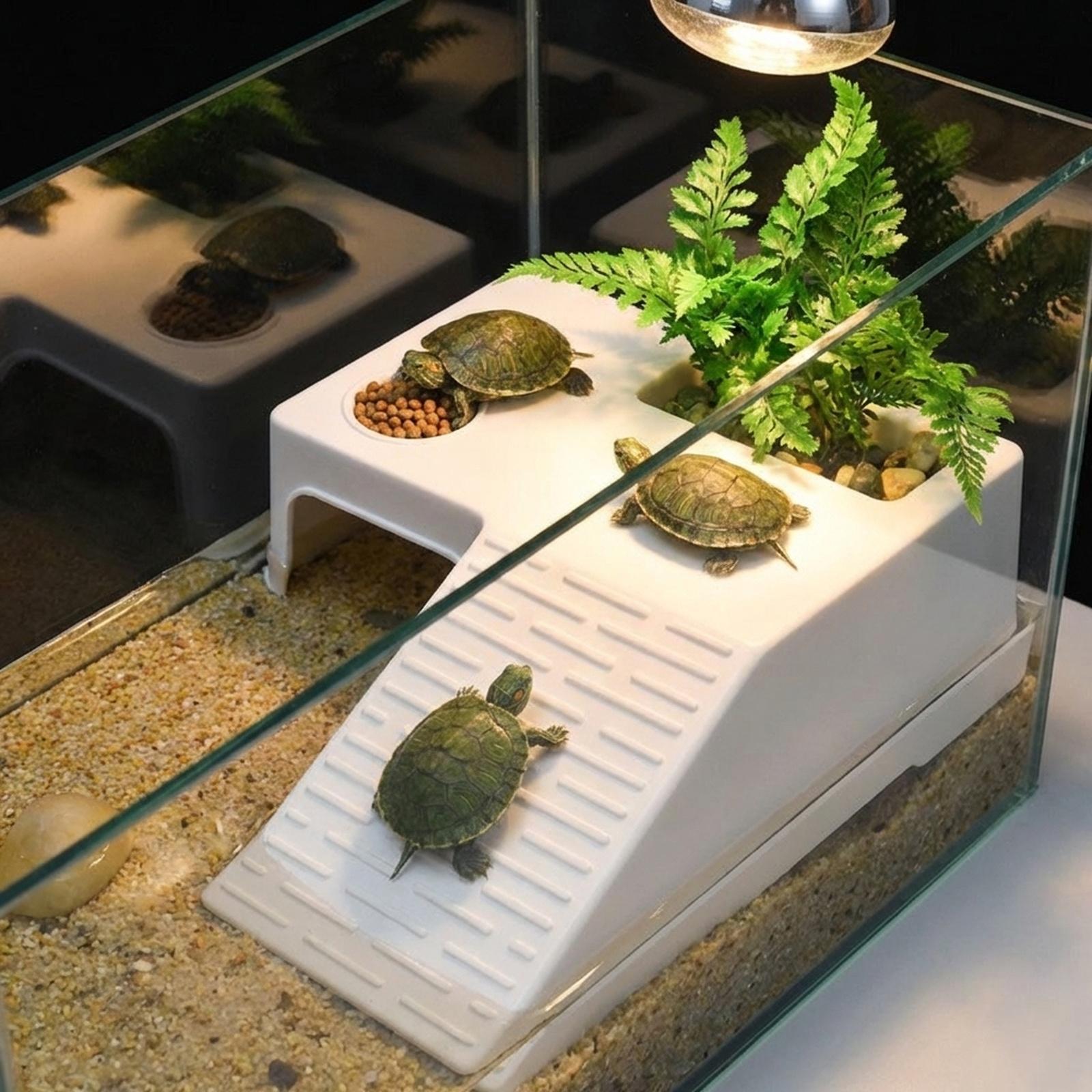 Plataforma de Descanso para Ta - Marine Aquarium Hobby avaliação e preço