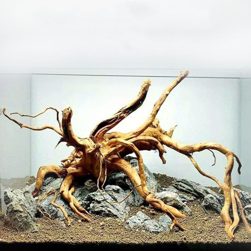 Natural Árvore Tronco Decoraçã - Marine Aquarium Hobby avaliação e preço