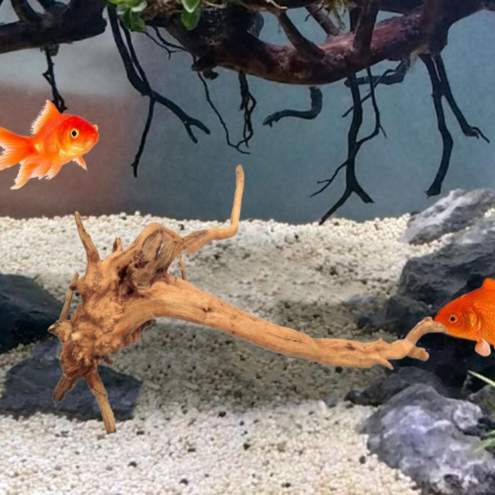 Natural Árvore Tronco Decoraçã - Marine Aquarium Hobby avaliação e preço