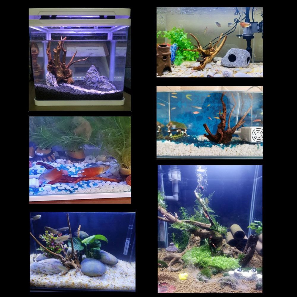 Natural Árvore Tronco Decoraçã - Marine Aquarium Hobby avaliação e preço