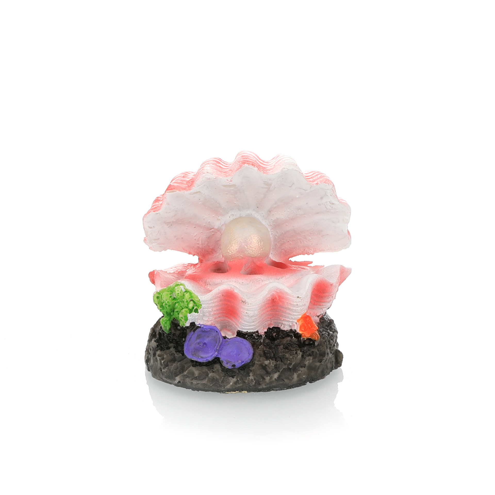 Simulação de paisagismo para t - Marine Aquarium Hobby avaliação e preço