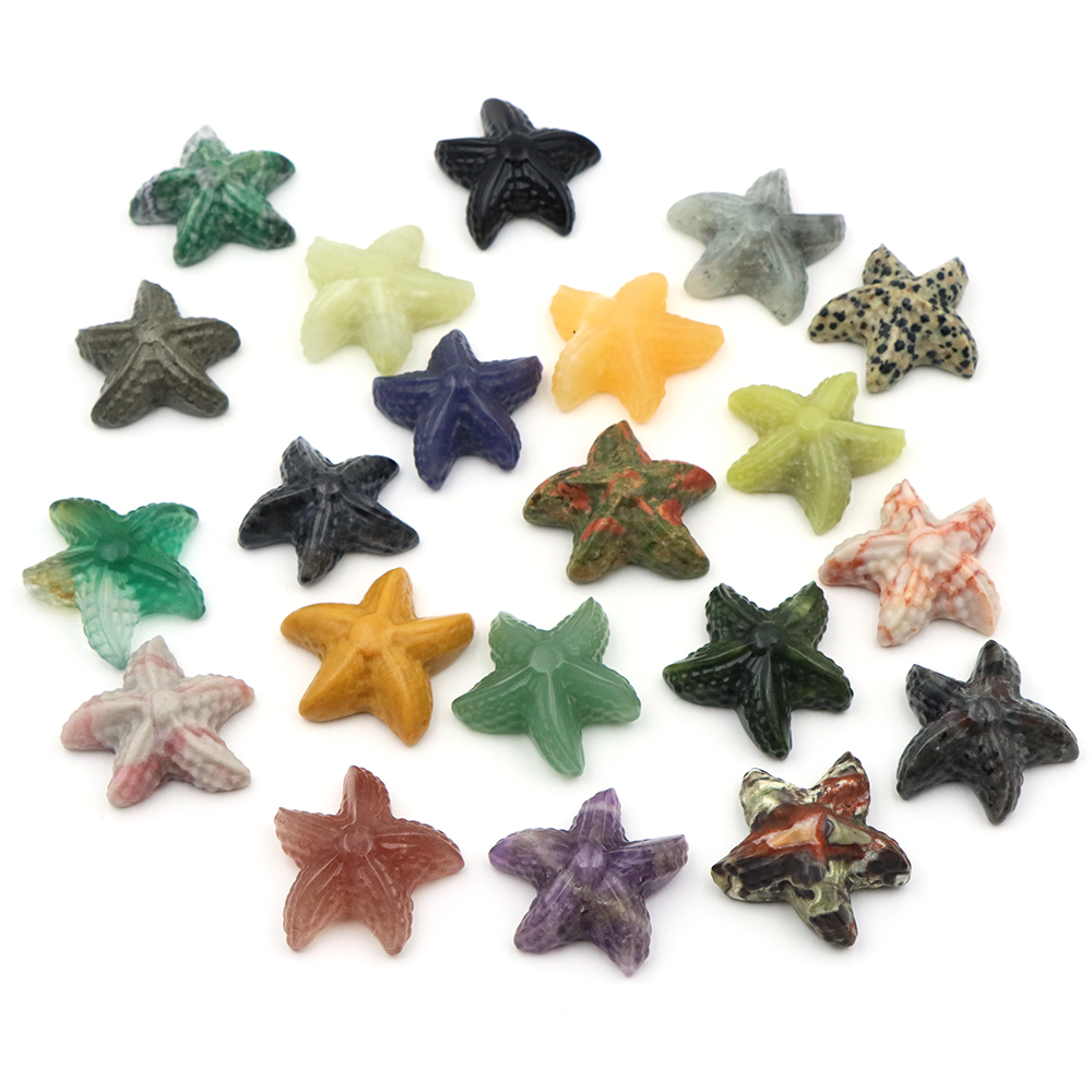 Estátua em forma de estrela do - Marine Aquarium & Regional Centre Reviews avaliação e preço