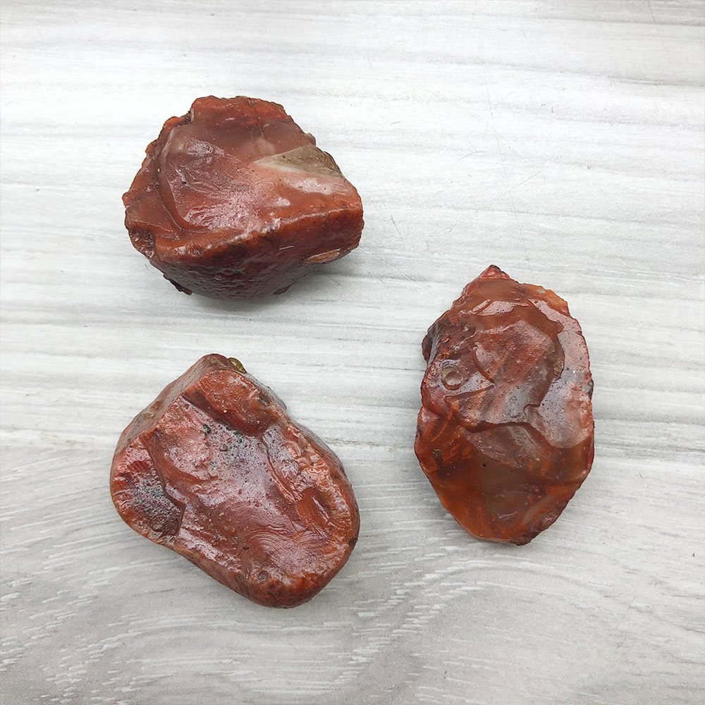 1pc aleatório áspero cru carne - Marine Aquarium Hobby avaliação e preço