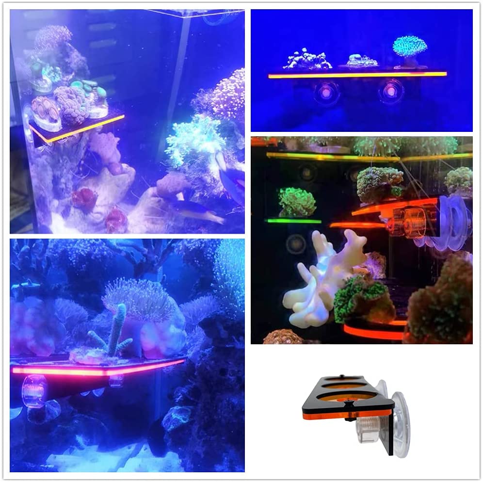 Fluorescente coral frag plug s - Marine Aquarium Hobby avaliação e preço