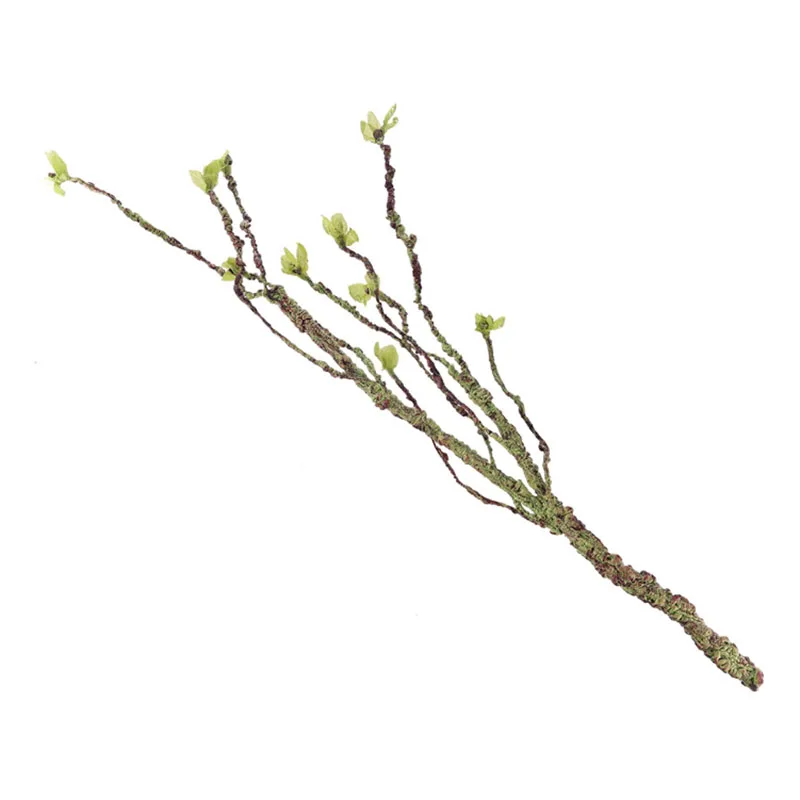 Vinhas decoração galhos de esc - Marine Aquarium Hobby avaliação e preço