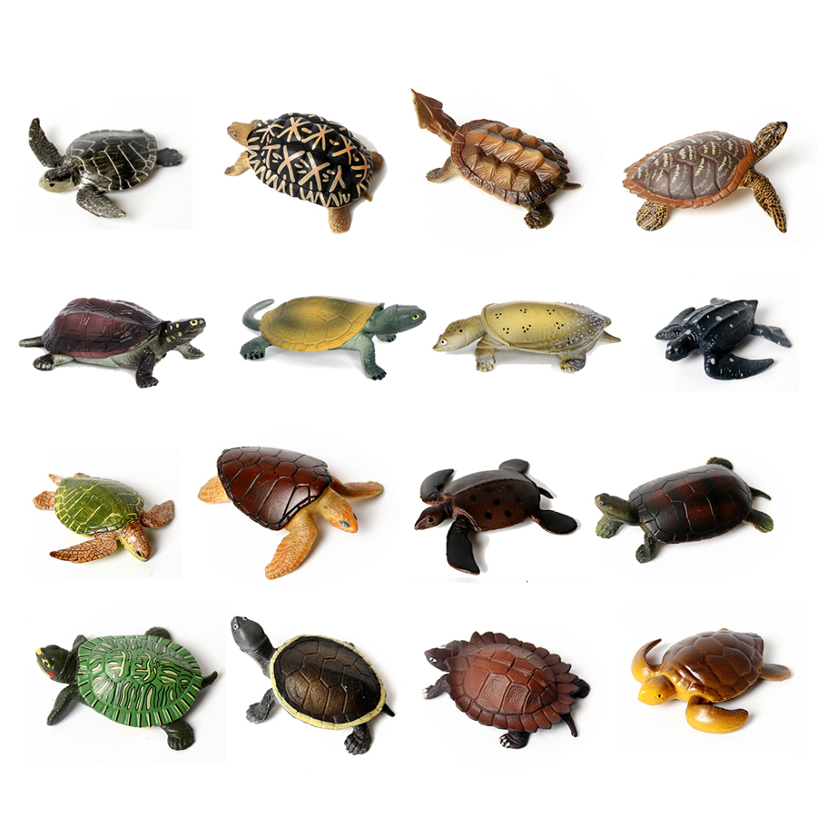 Realistic Miniatures Marine Li - Marine Aquarium & Regional Centre Reviews avaliação e preço